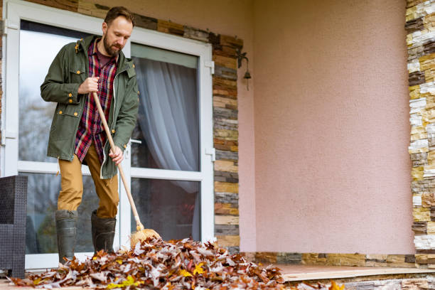 Yard Cleanup Services in Ozona, TX